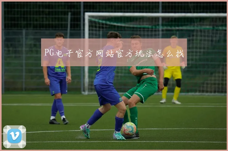 PG电子官方网站官方玩法怎么找