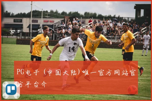 PG电子 (中国大陆)唯一官方网站官方平台介