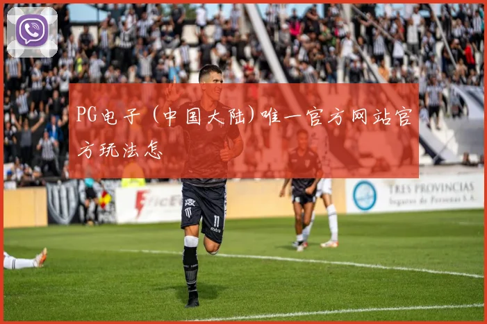 PG电子 (中国大陆)唯一官方网站官方玩法怎
